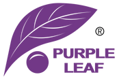 Purple Leaf